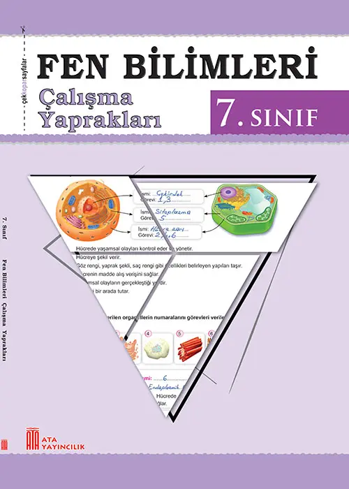 7. Sınıf Fen Bilimleri Çalışma Yaprakları Kapak Resmi